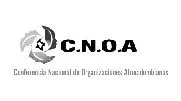 Conferencia Nacional de Organizaciones Afrocolombianas - C.N.O.A